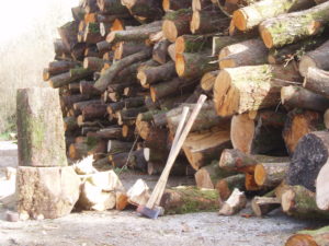 logs