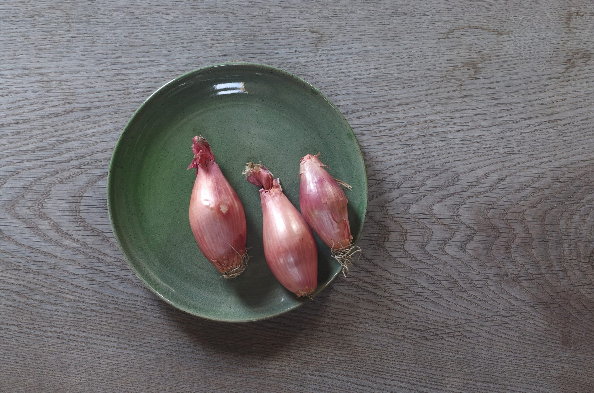medium thrown stoneware dinner plate with chrome green glaze, fired in reduction by award winning studio potters James and Tilla Waters in Carmarthenshire, Wales UK