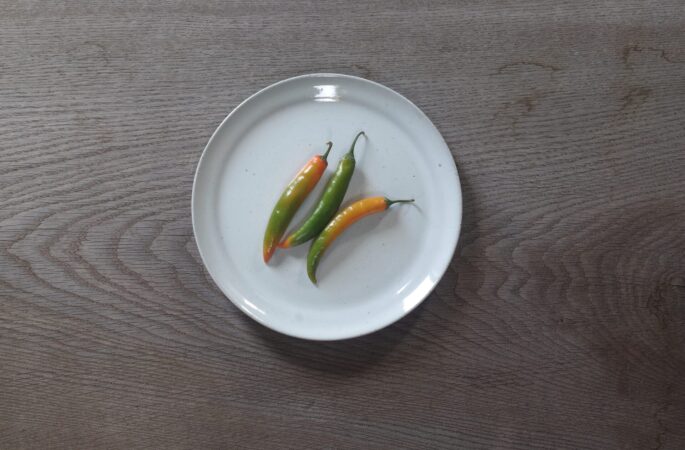 medium thrown stoneware dinner plate with off-white glaze, fired in reduction by award winning studio potters James and Tilla Waters in Carmarthenshire, Wales UK