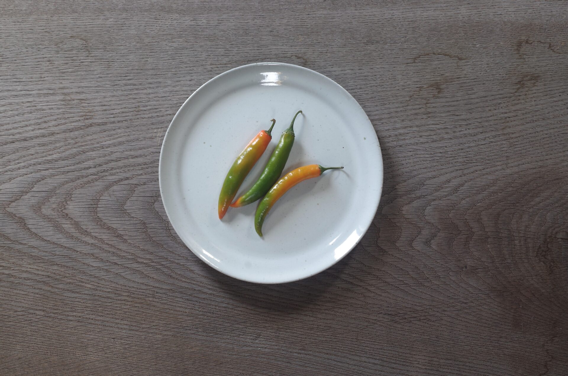 medium thrown stoneware dinner plate with off-white glaze, fired in reduction by award winning studio potters James and Tilla Waters in Carmarthenshire, Wales UK